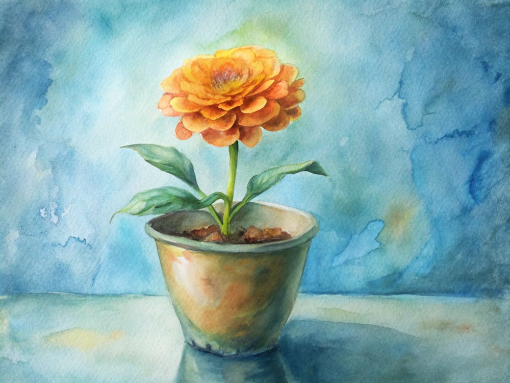 Dahlia 4