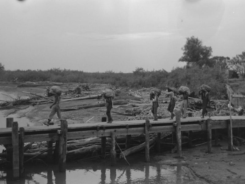 Untitled Photo, Possibly Related To Unloading Oysters From Packet Boat Arriving At New Orleans, Louisiana By