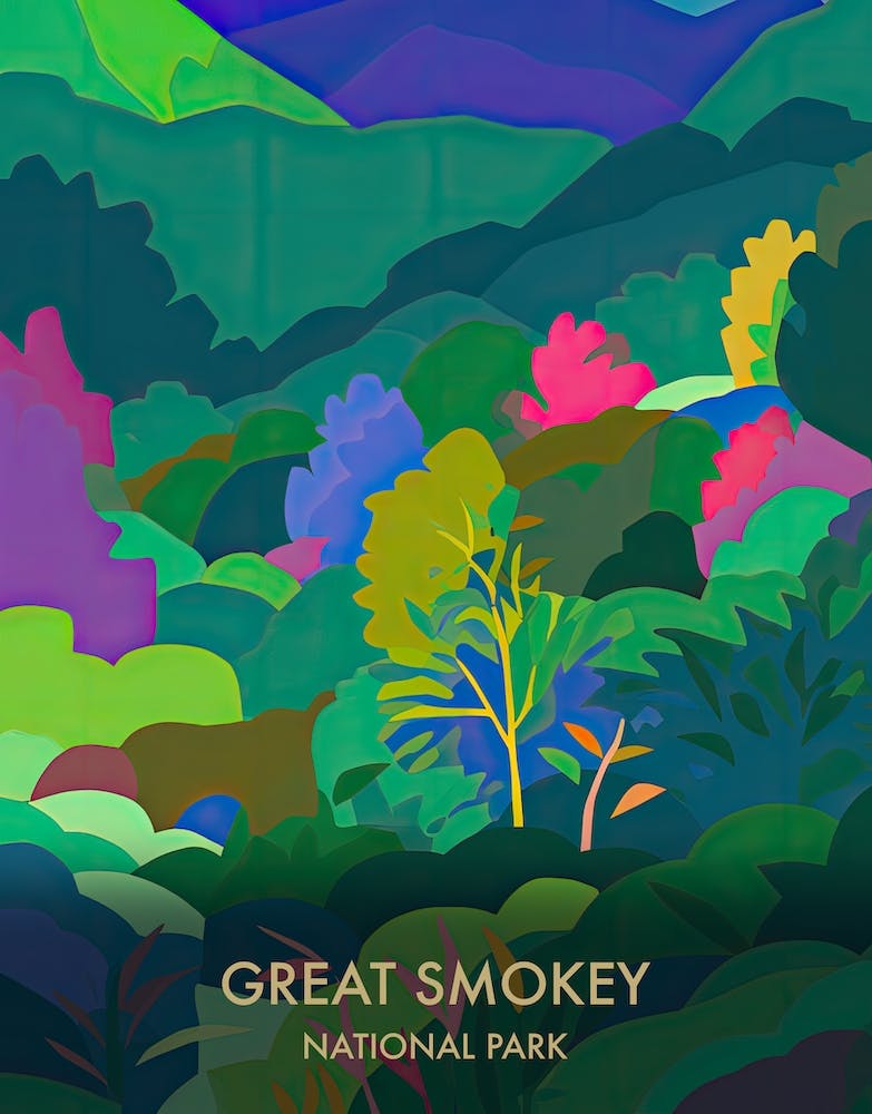 Great Smokey National Park Travel Poster Matisse Style 8