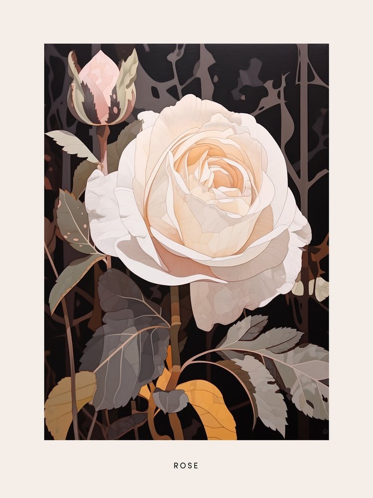 Flower Illustration Rose 3 Poster