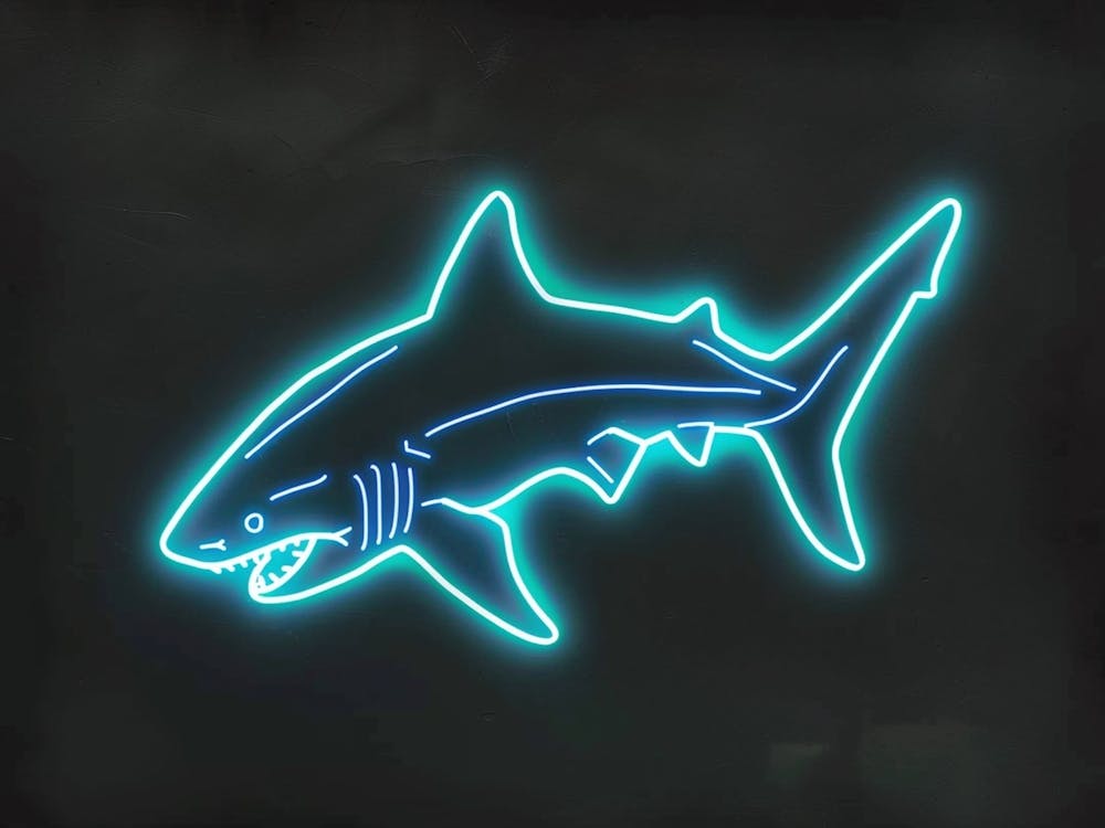 Neon White Tip Reef Shark 6