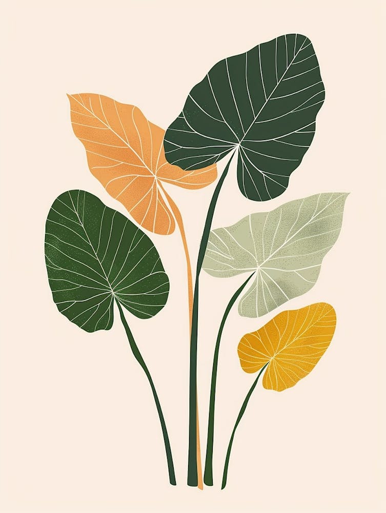 Elephant Ear Plant Minimalist Illustration 2