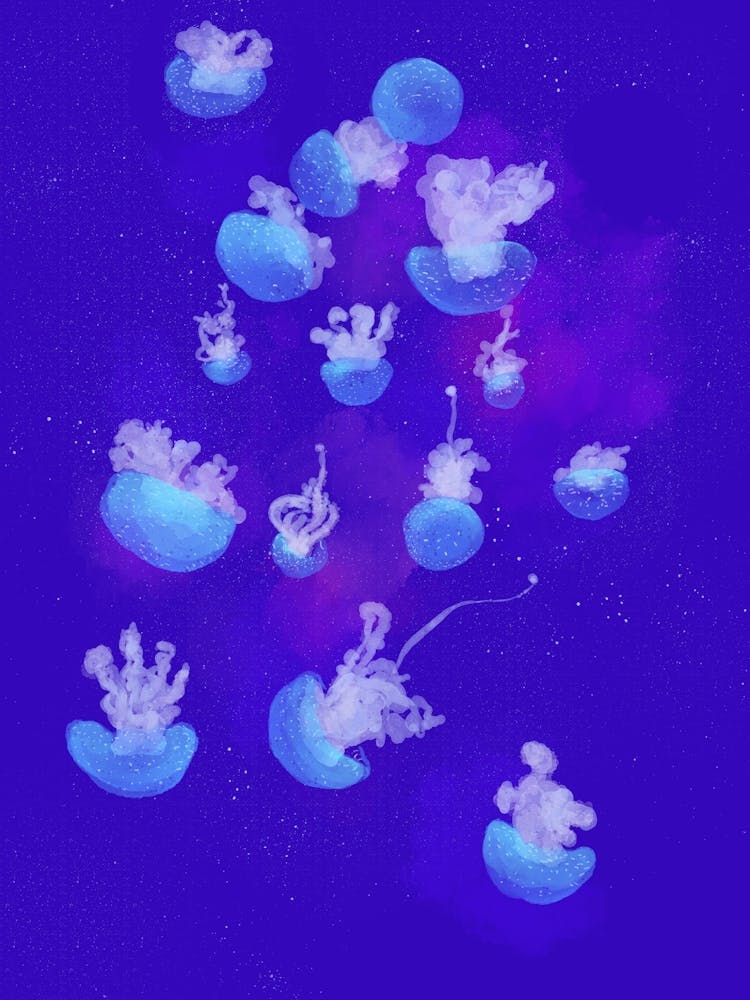 Mystical Jellyfish