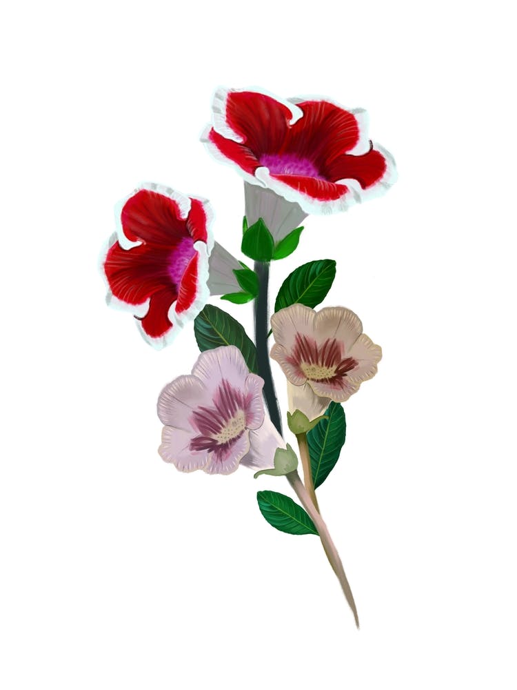 Gloxinia Bouquet