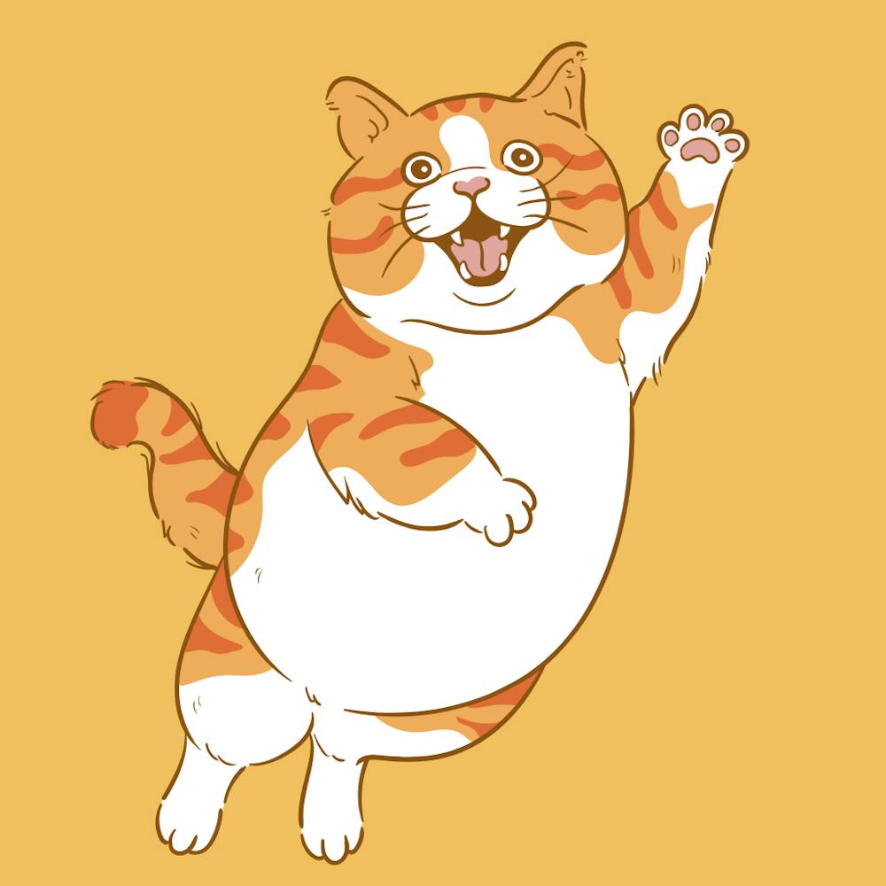 Cat Jumping 2