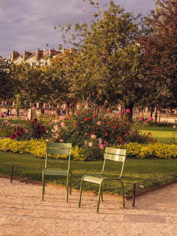 Two Chairs So Many Flowers Sunset At Tuileries Garden