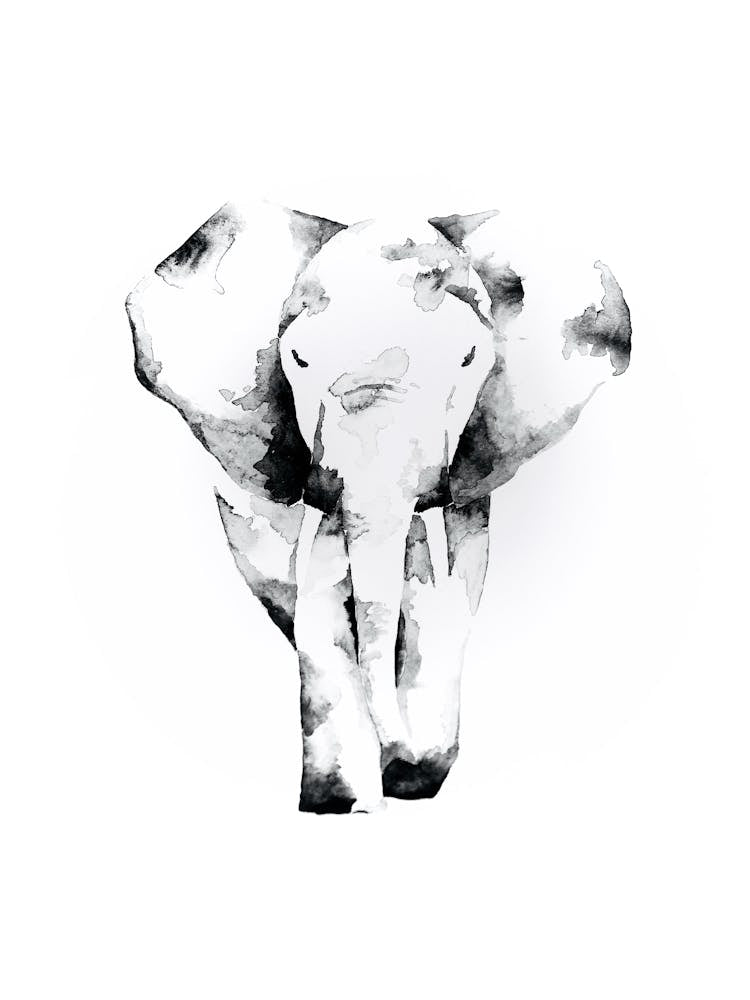Elephant Watercolour
