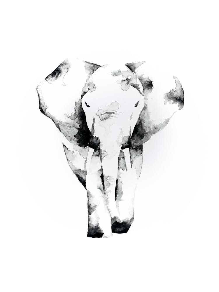 Elephant Watercolour
