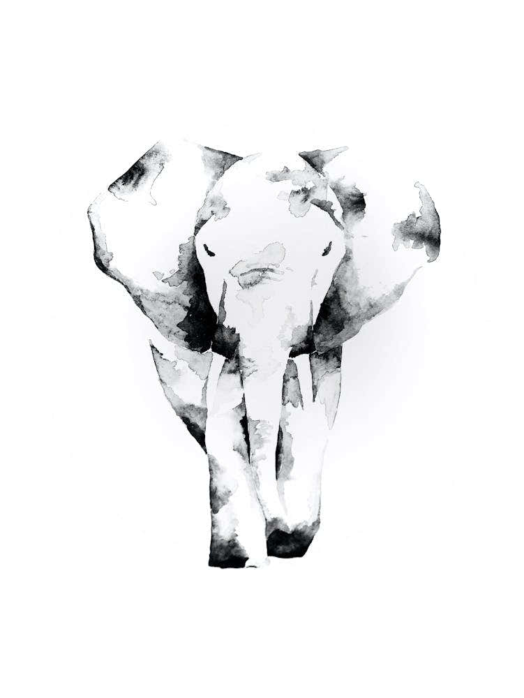 Elephant Watercolour