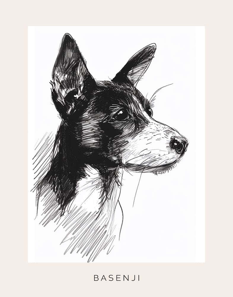 Basenji Dog Line Sketch 3 Poster
