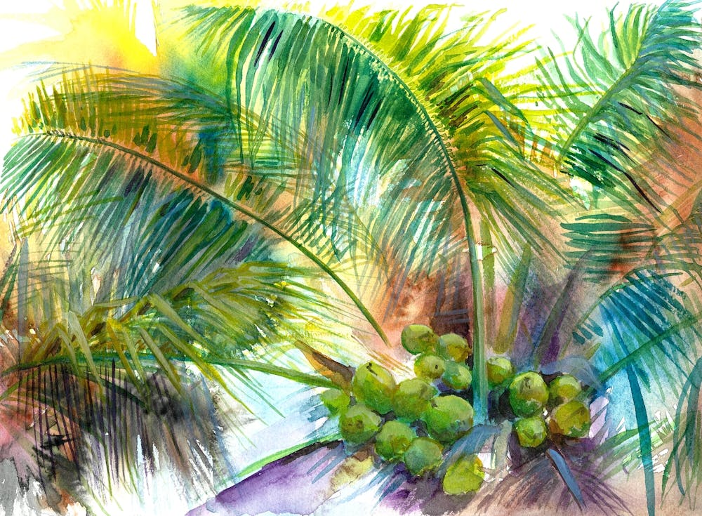 coconut palm painting Coconut Palm Tree Watercolor Art Print by Mila Bogova – Fy!