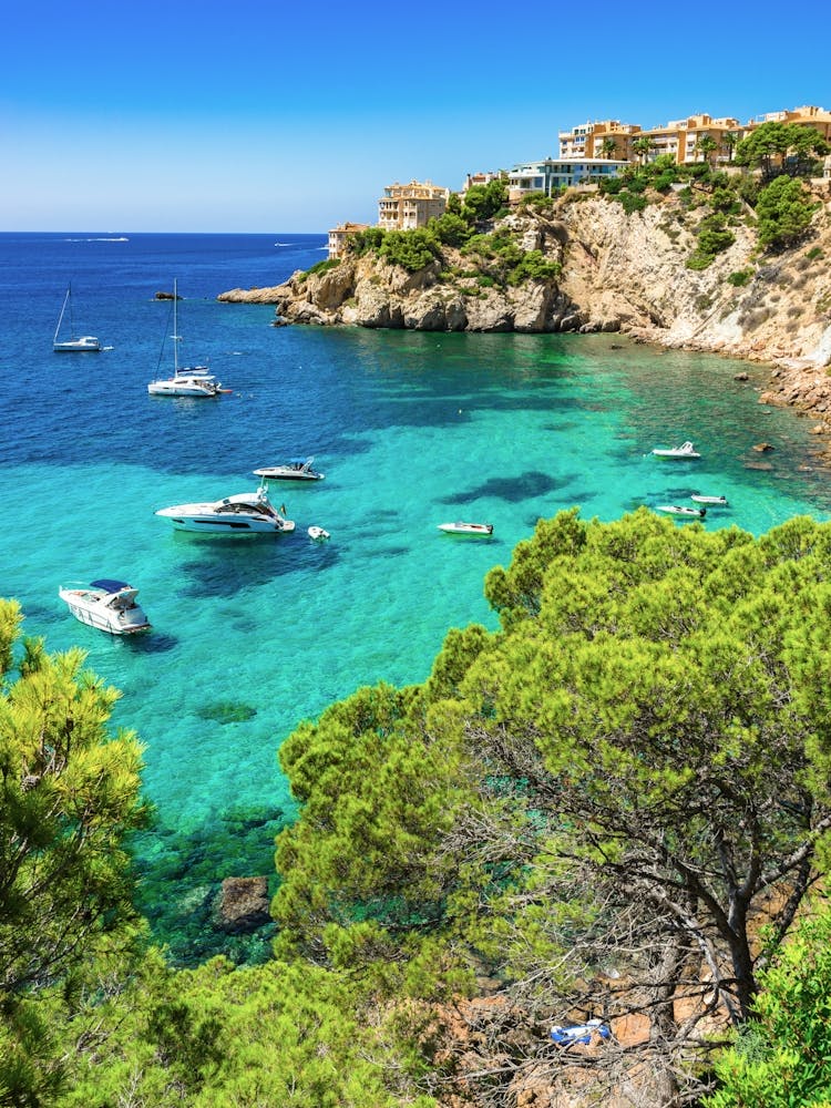 Majorca Santa Ponsa Mallorca