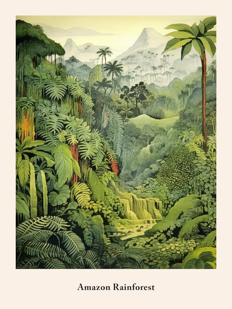 Amazon Rainforest 2