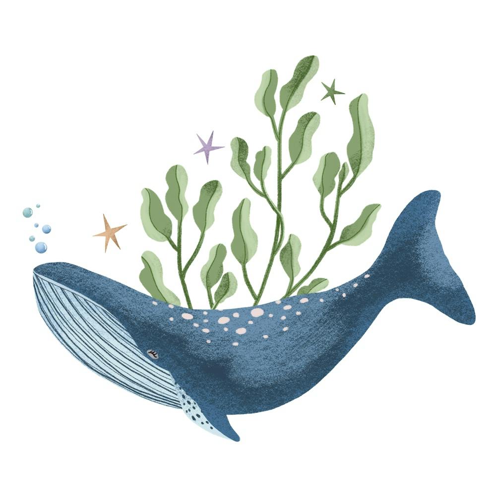 Great blue whale