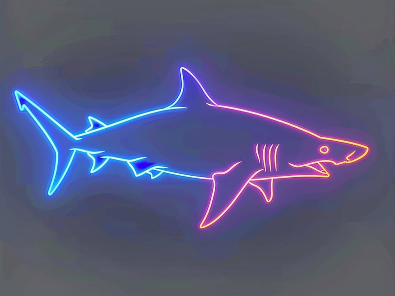 Aqua Hammerhead Shark 4