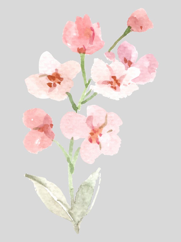 Pink Flowers 2