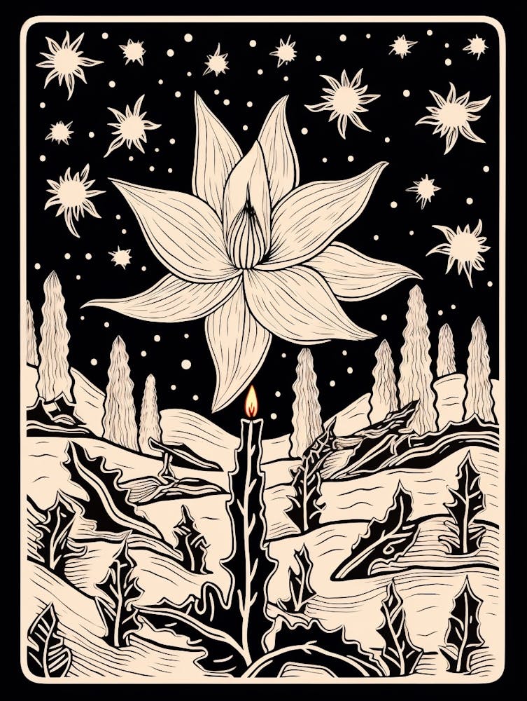 B&W Cactus Illustration Christmas Cactus 2