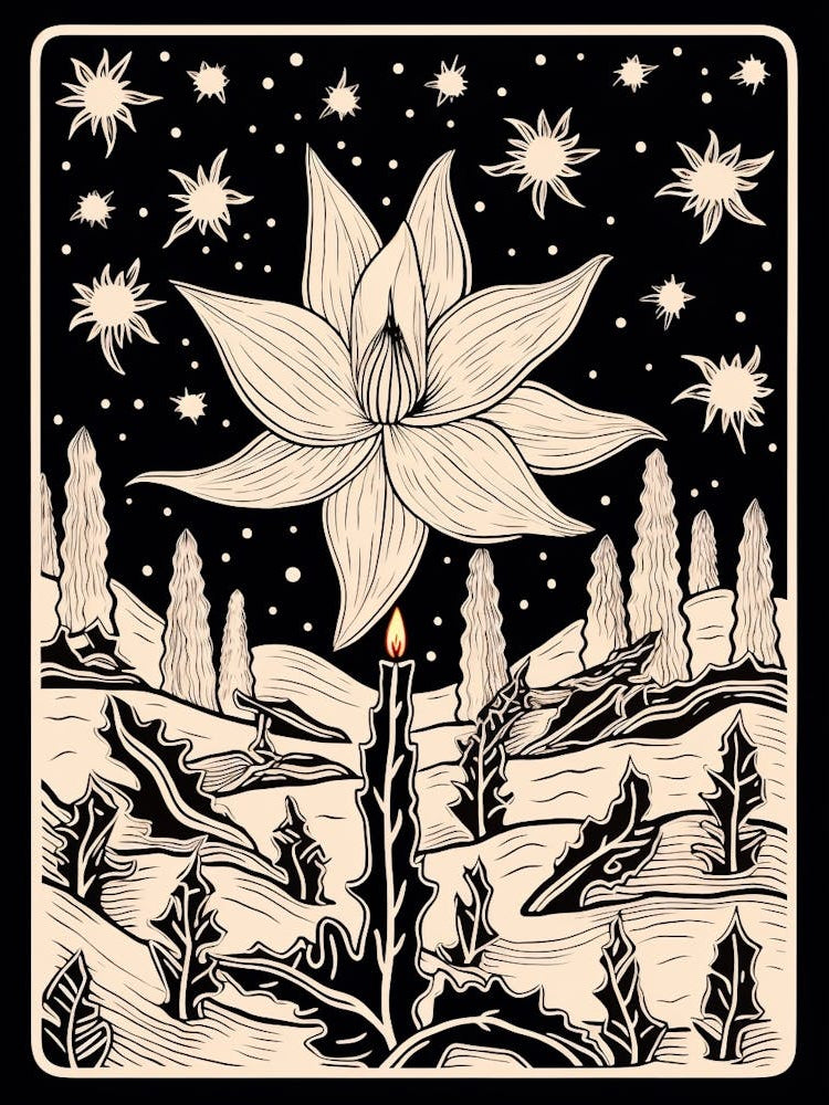 B&W Cactus Illustration Christmas Cactus 2