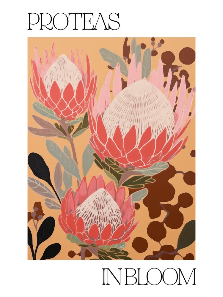 Fleurs de Proteas en Fleur Illustration Audacieuse 4