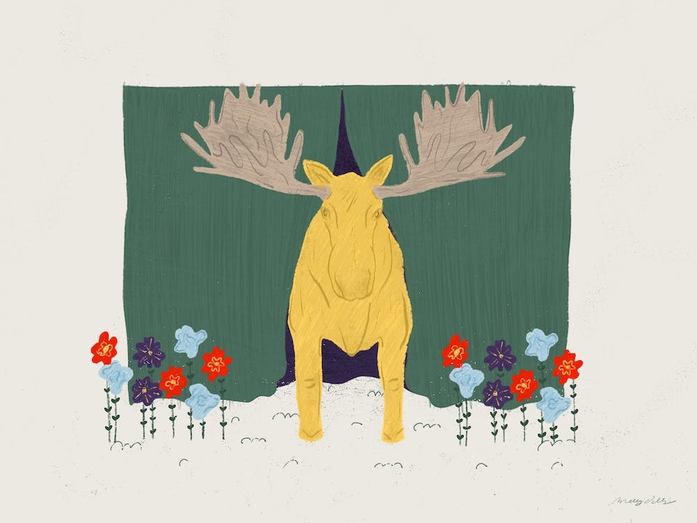 A Moose Story