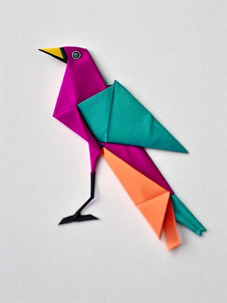 Kiwi Origami Bird