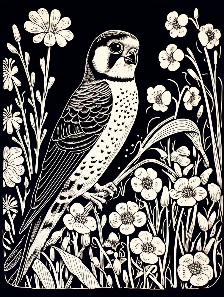 B&W Bird Linocut American Kestrel 2