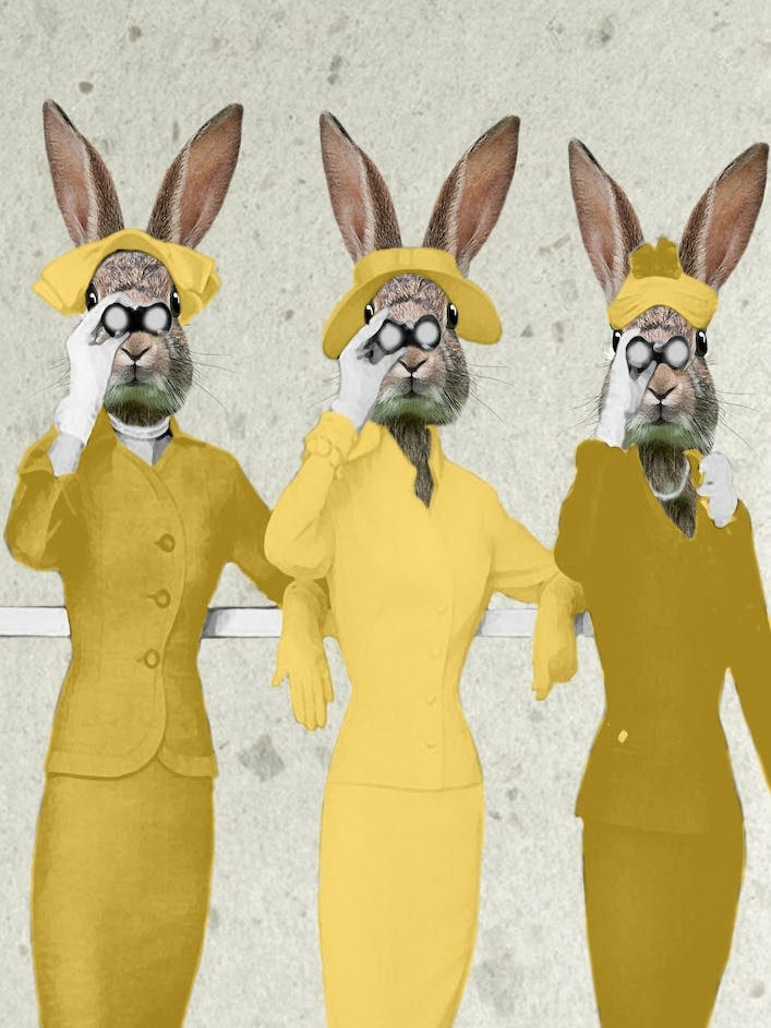 Rabbit Ladies Spying On You