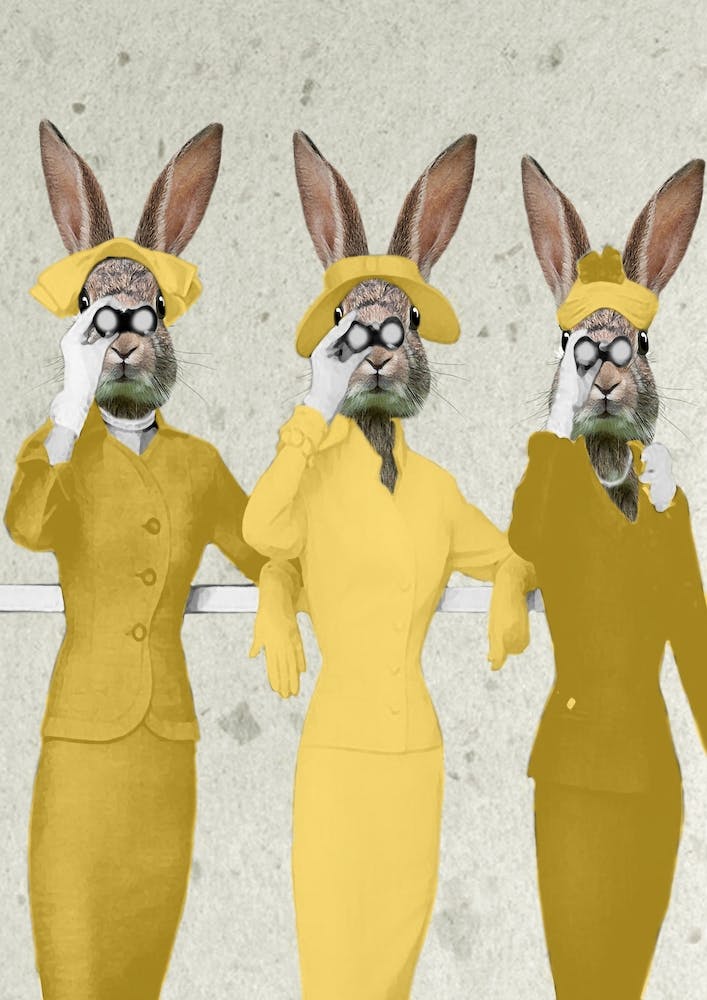 Rabbit Ladies Spying On You