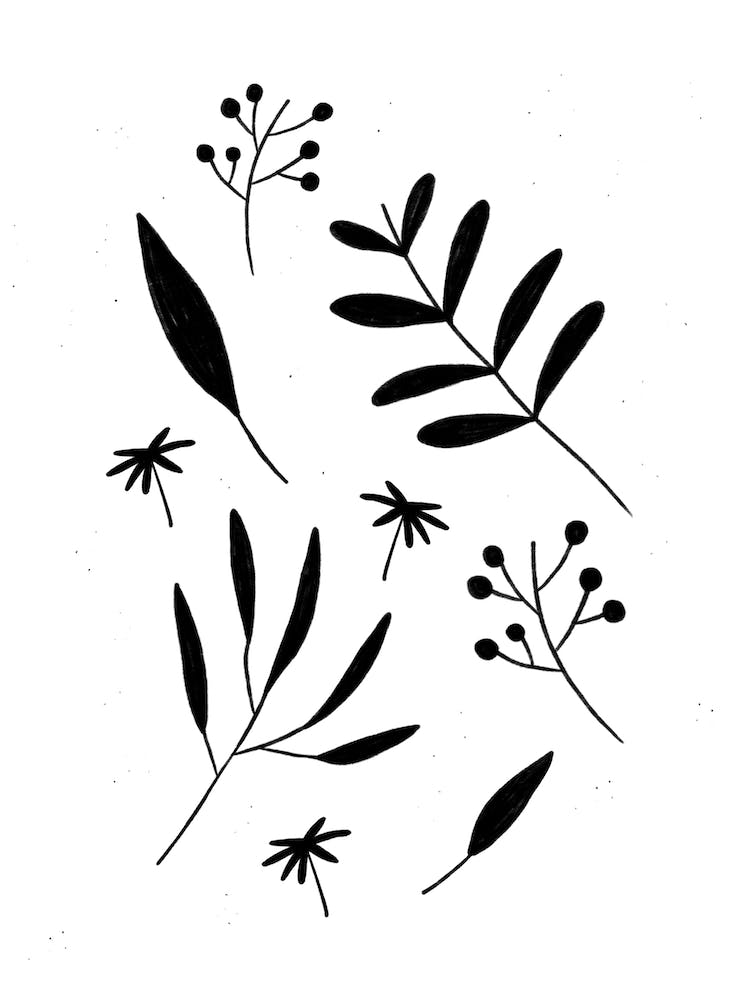 Leaf Silhouettes
