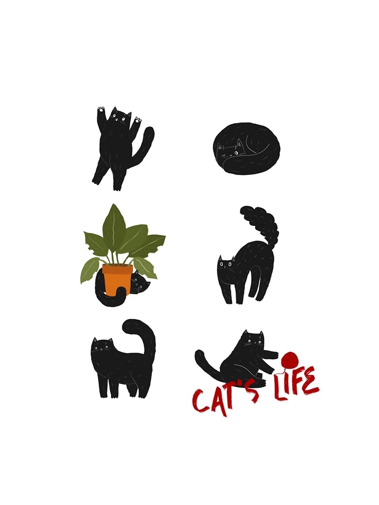 Cat's Life Poster, Meow Wall Art, Funny Crazy Cat Lady Decor, Trendy Kitten Print, Kitty Home Decor