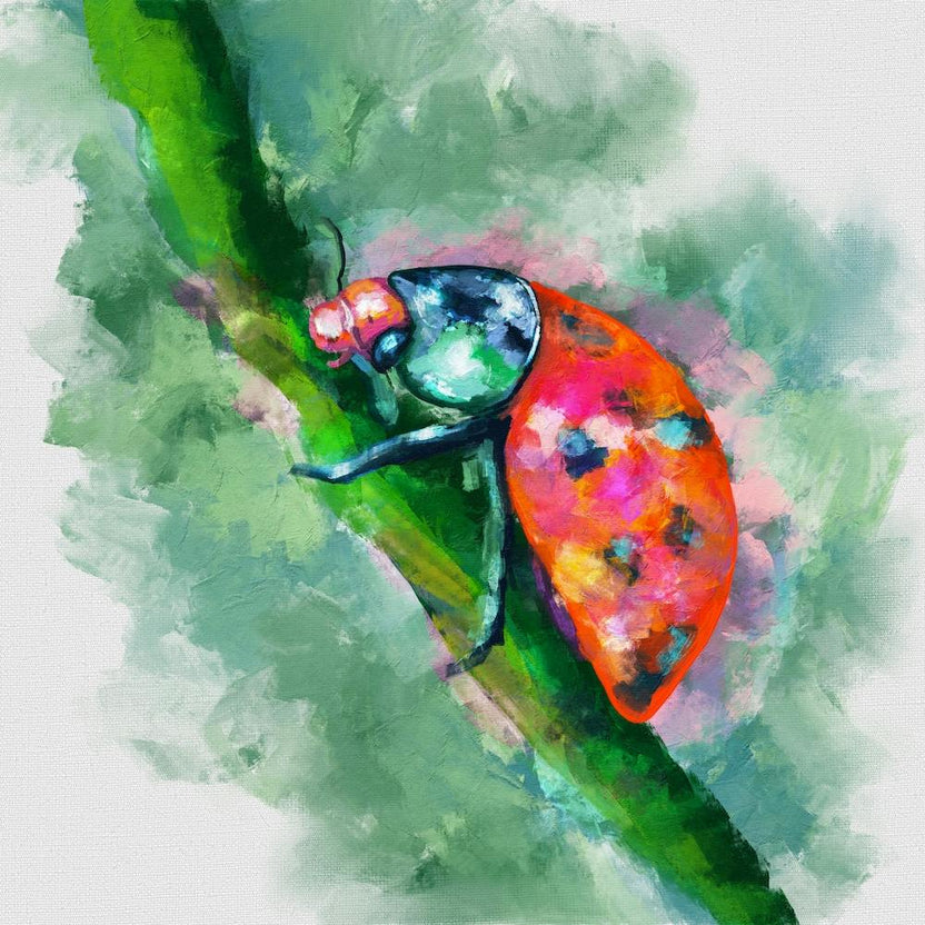 Ladybug 2 Square