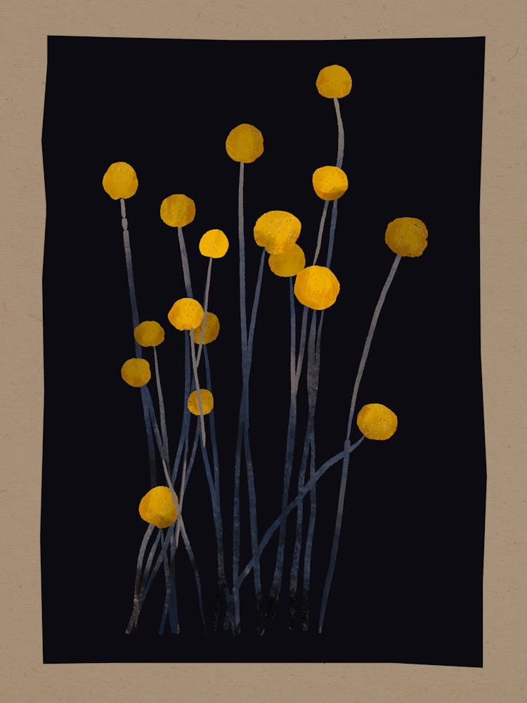 Kugelblume