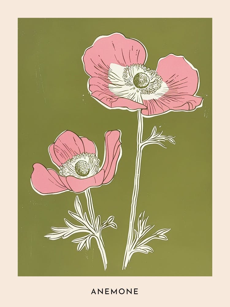 Pink & Green Anemone 1 Flower Poster