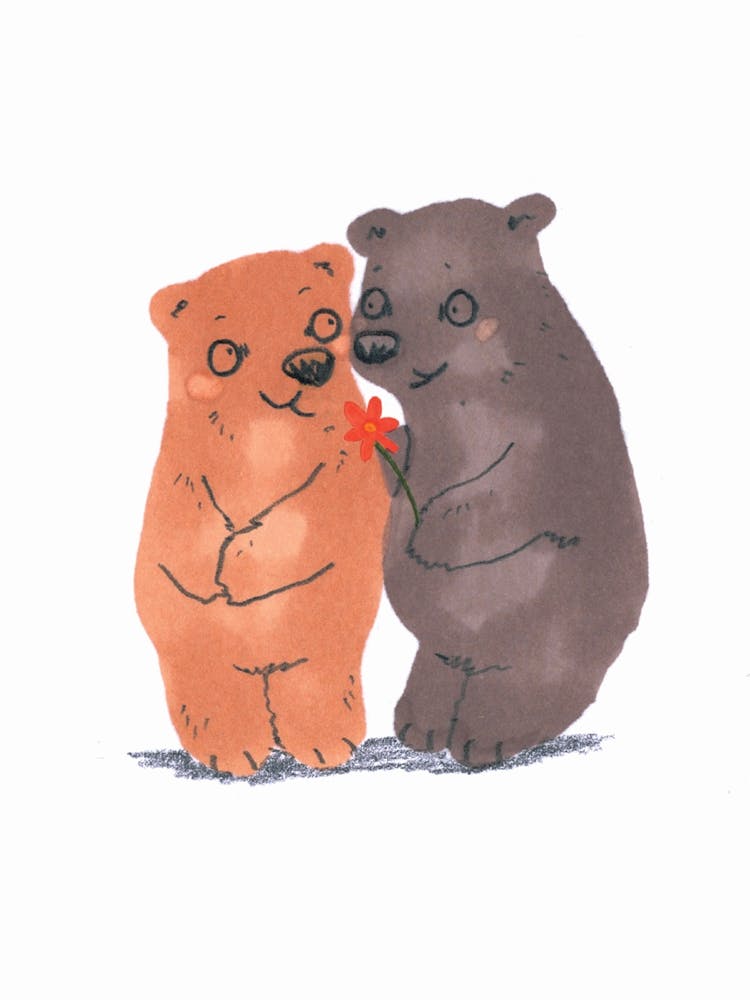 Bears In Love