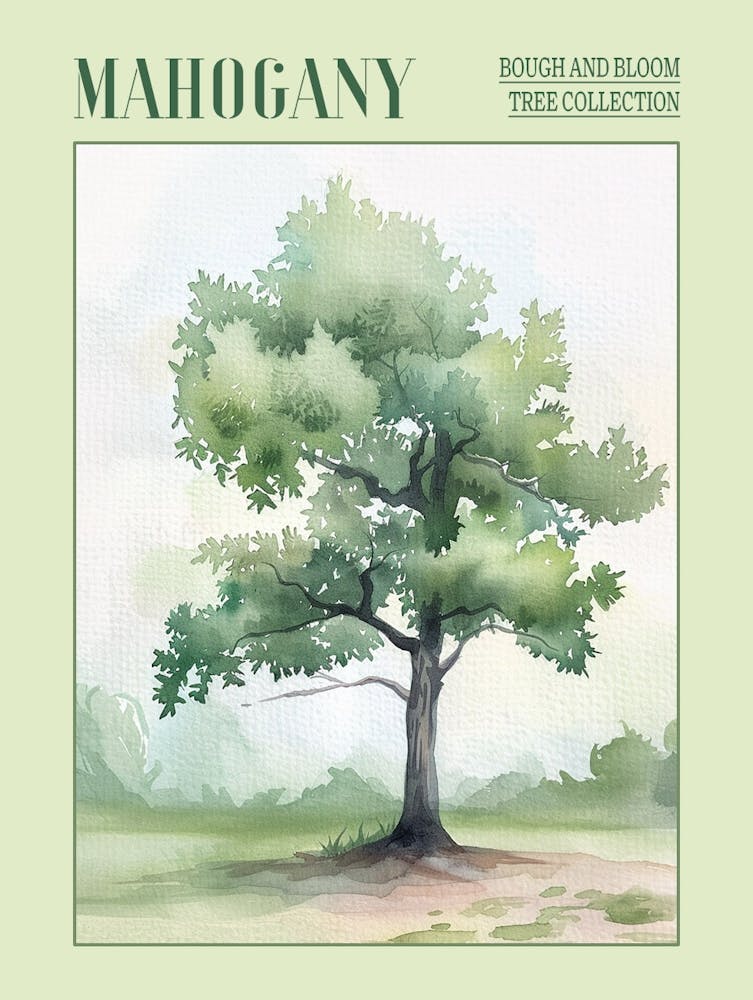 Mahogany Tree Atmospheric Watercolour Painting 4 Poster