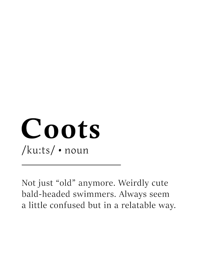Coots Definition Poster - Dictionary