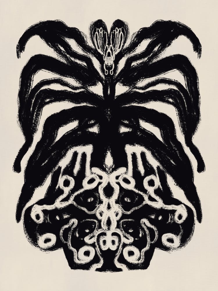 Black Orchid