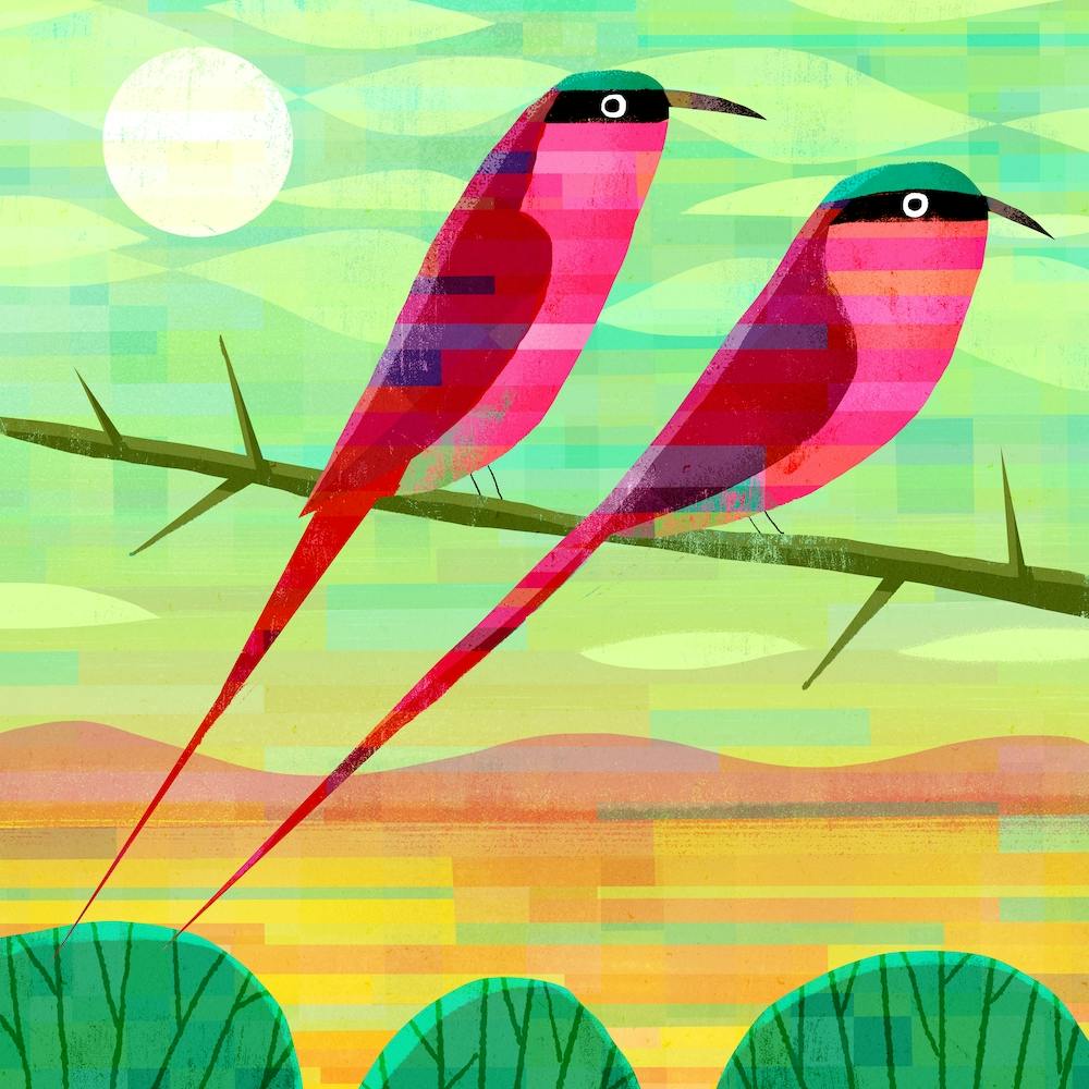 Carmine Bee Eaters Square
