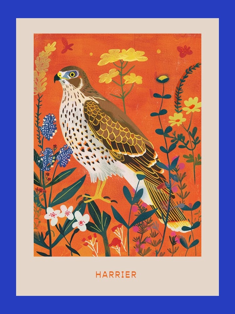 Spring Birds Poster Harrier 3