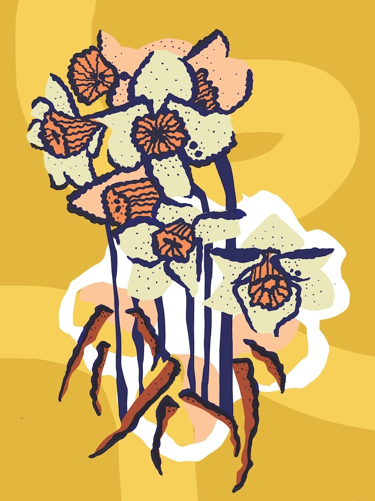 Basking Daffodils