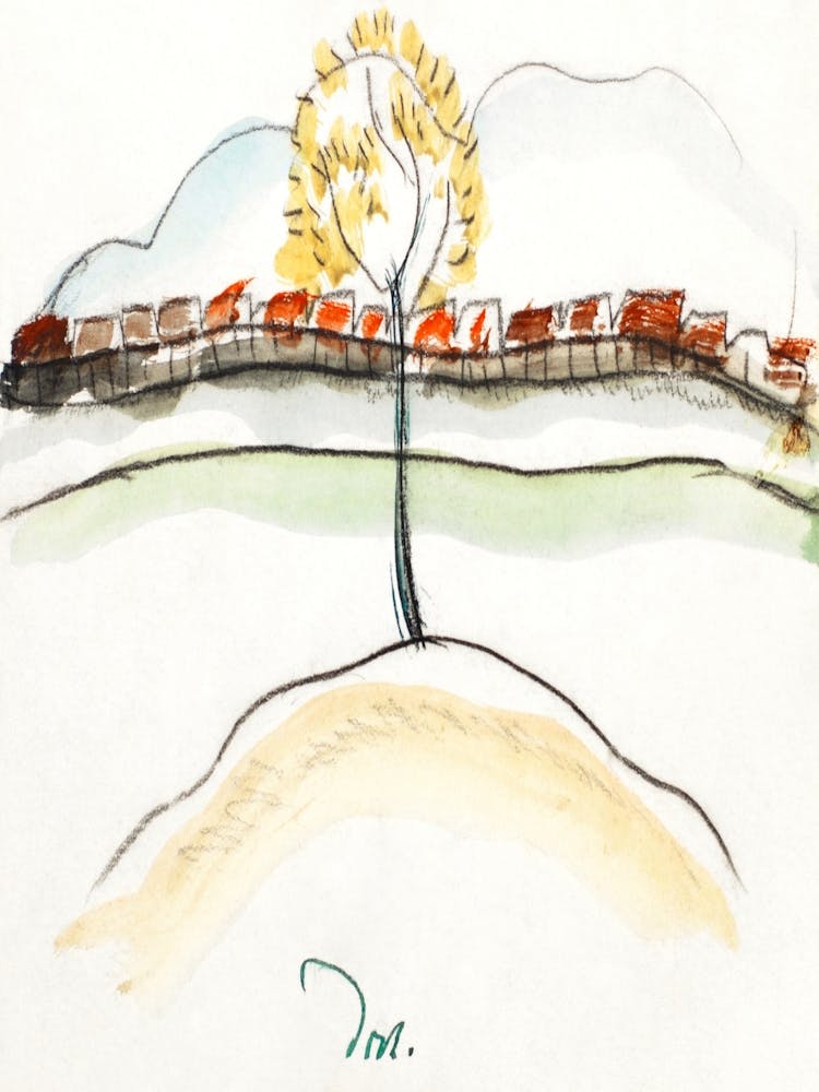 Tree On The Hill