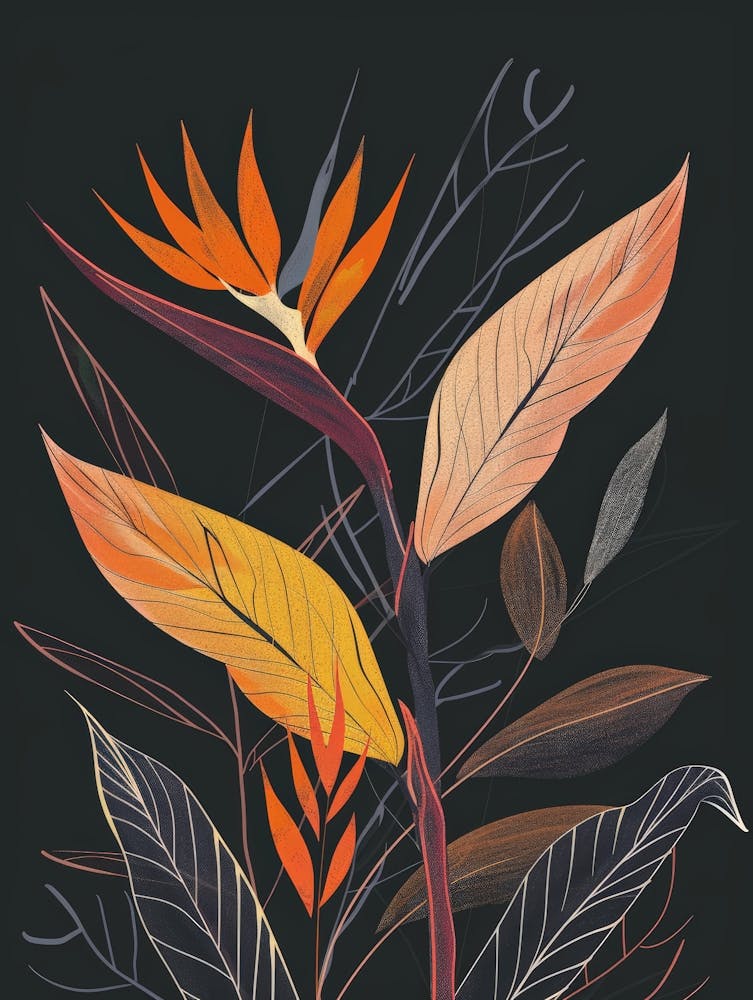 Bird Of Paradise 23