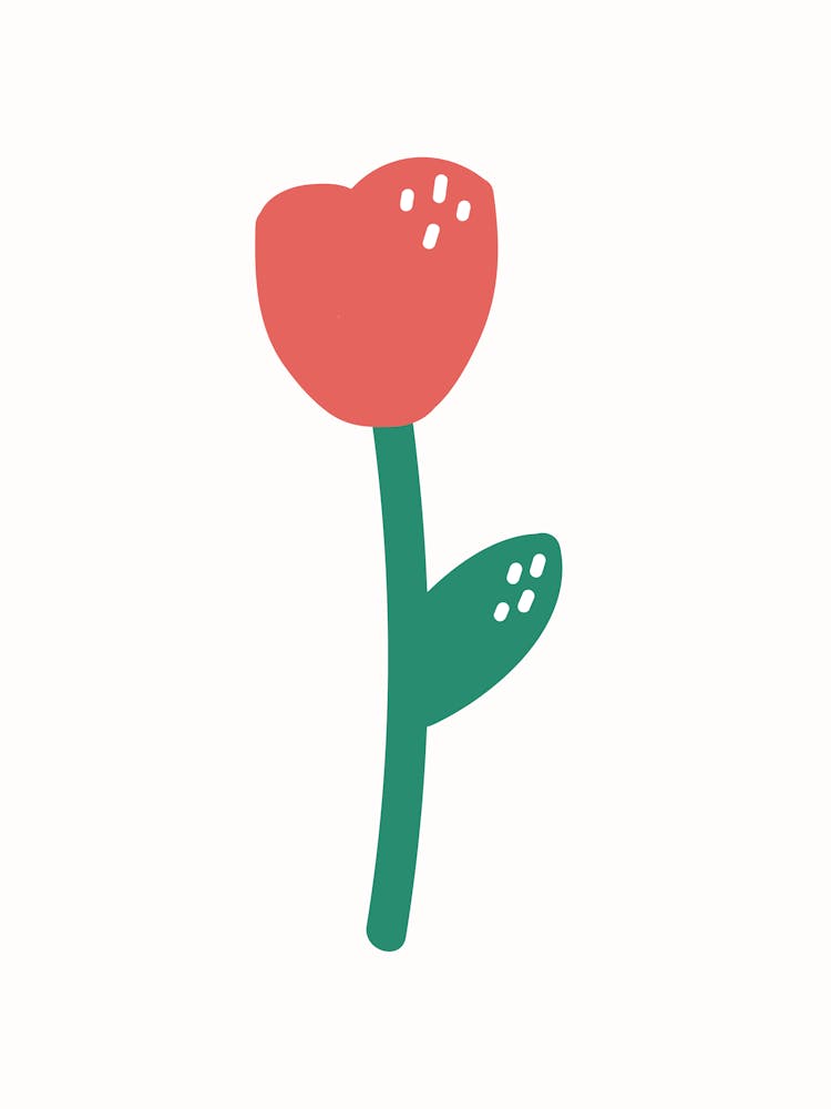 Tulip 2