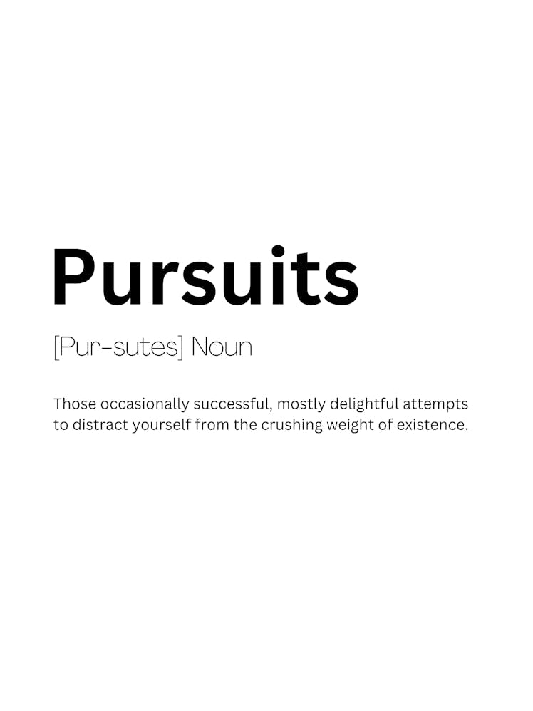Pursuits Definition Meaning 1