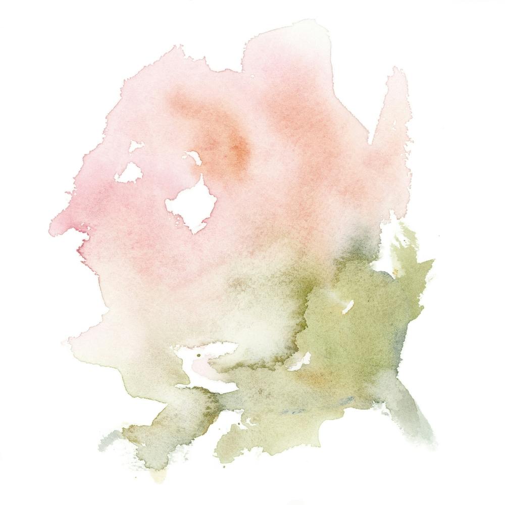 Peony Flower Minimalist Watercolour Square