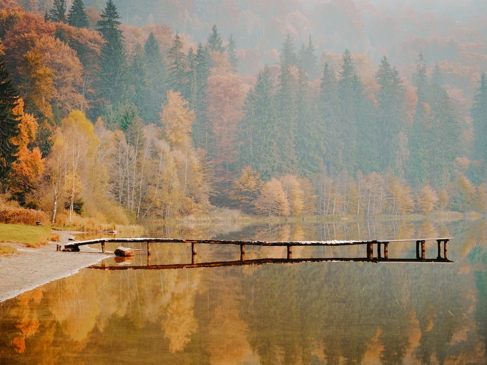 Wooden Dock In Lake