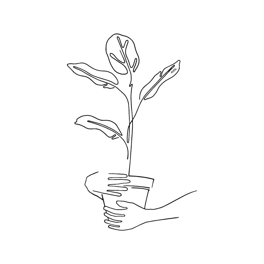 Mood Flowers Square Line