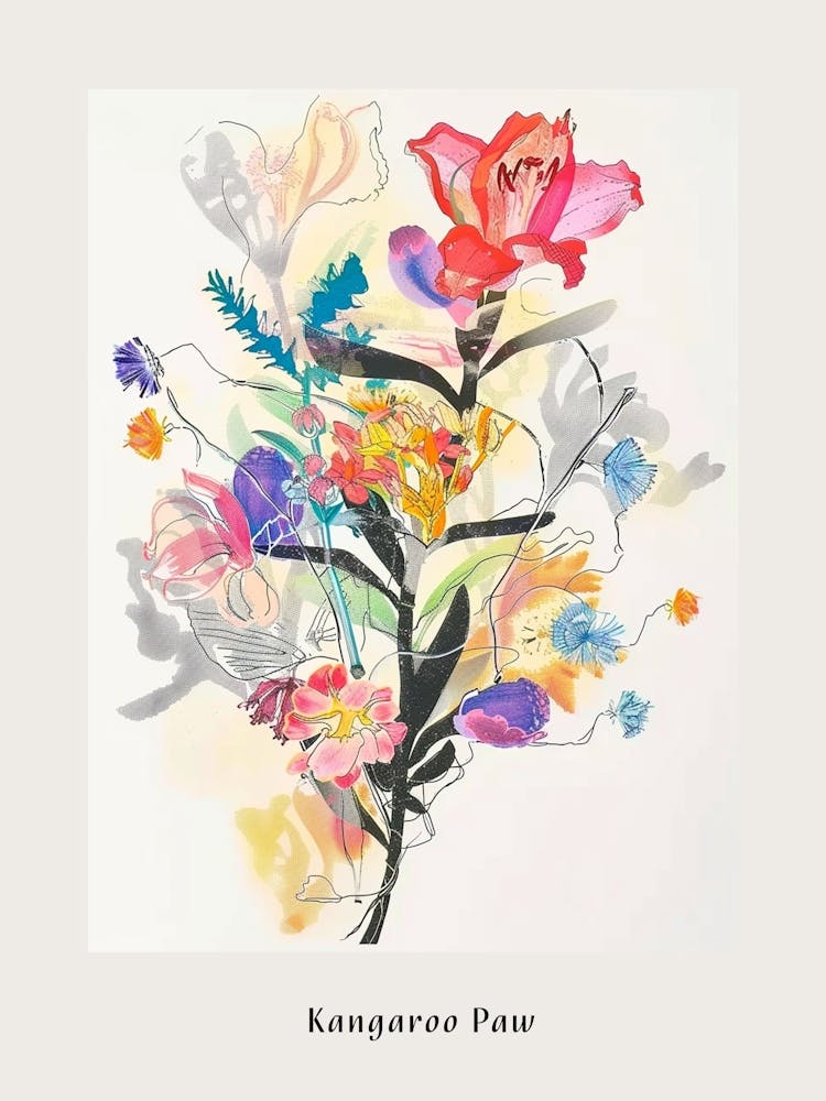 Kangaroo Paw 1 Collage Bouquet de Fleurs Affiche