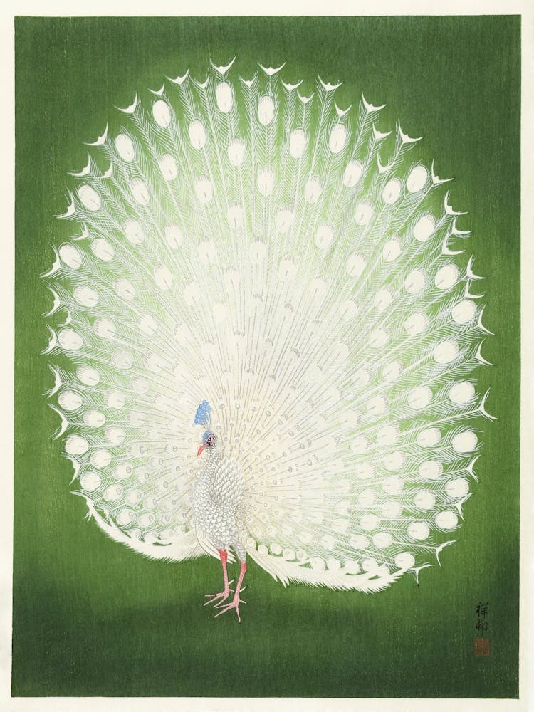 Peacock (1925 1936), Ohara Koson