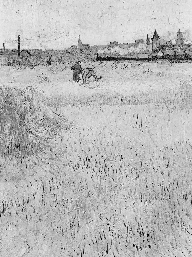 View Of A Wheat Field